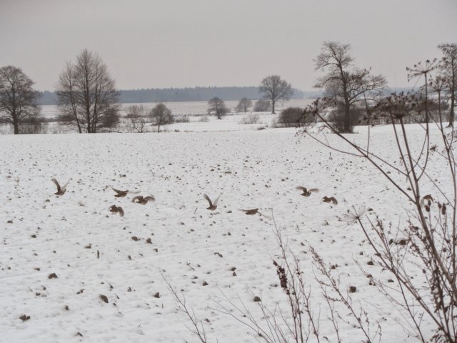 Nie tylko polujemy